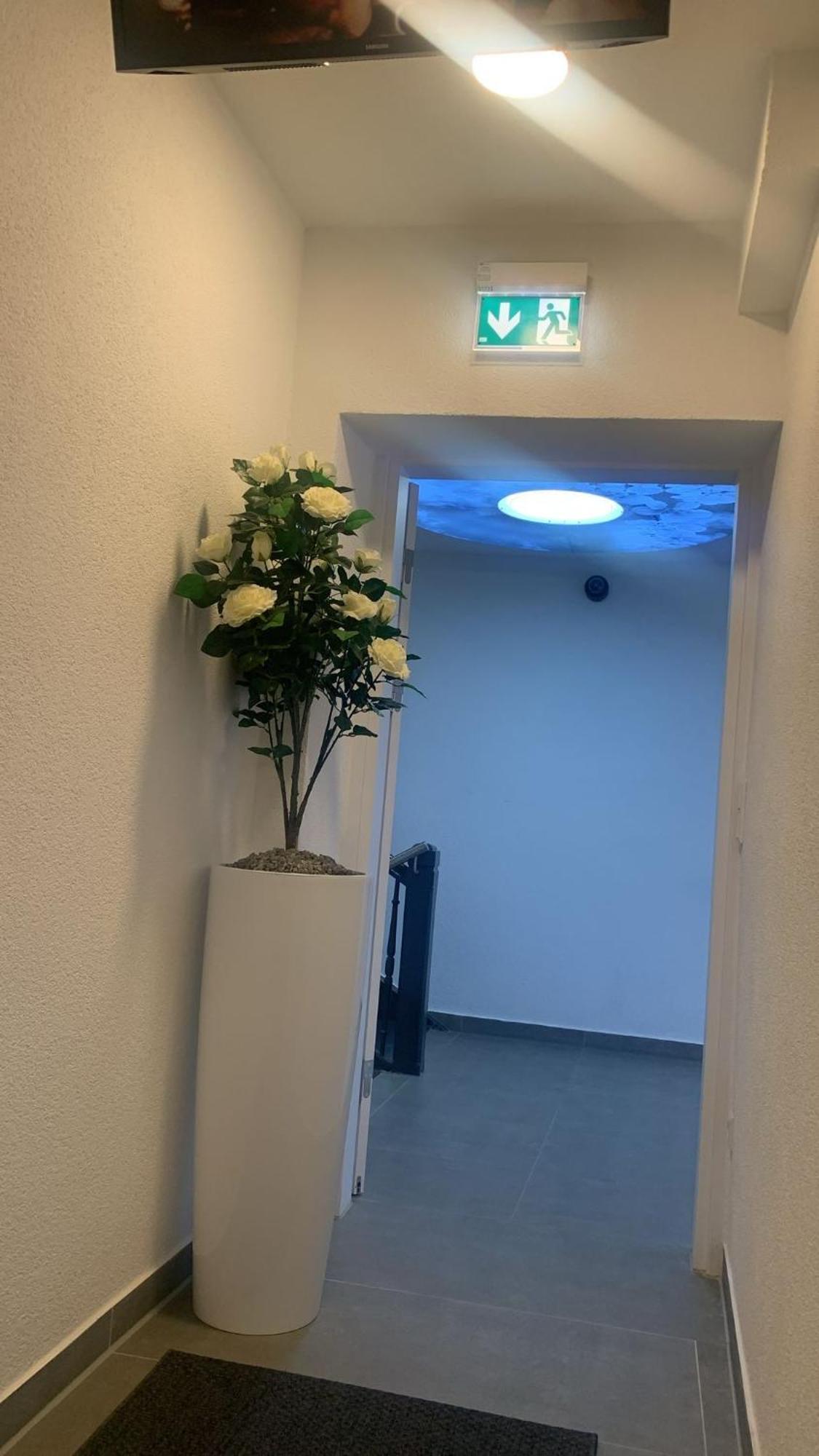 Hotel Am Schlossplatz Hechingen Extérieur photo